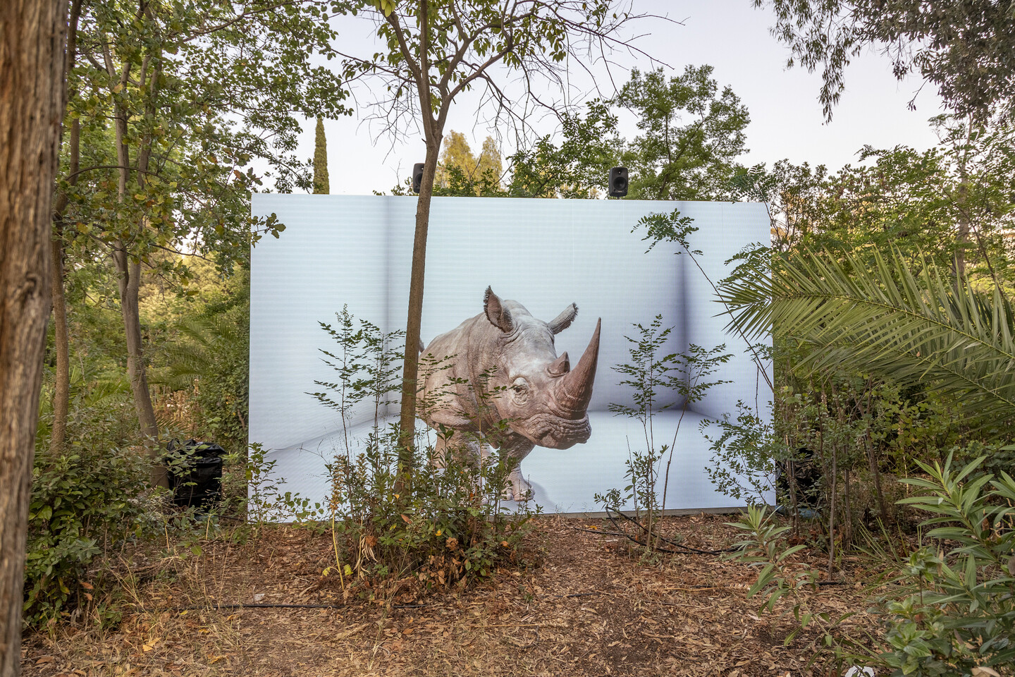 Grecia_onassis_1 Progetto visual art Fondazione Onassis