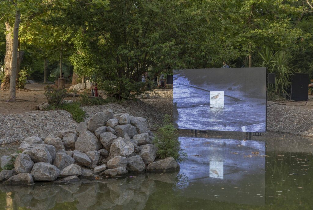 LedWall da esterno natura